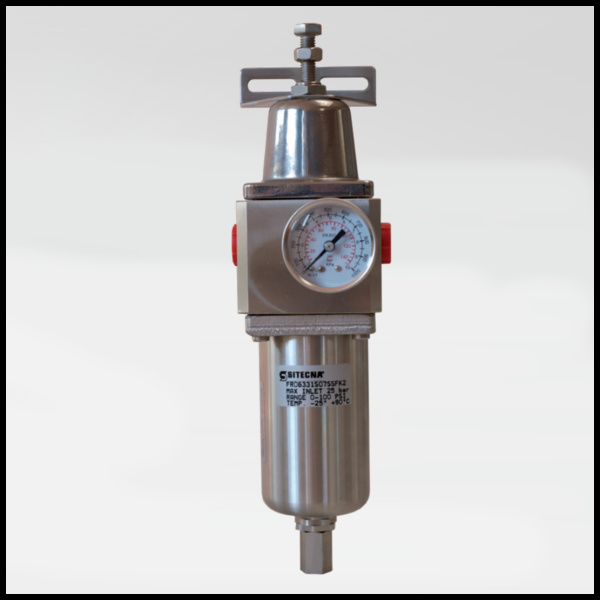 F Series Pneumatic Filter - Stainless Steel